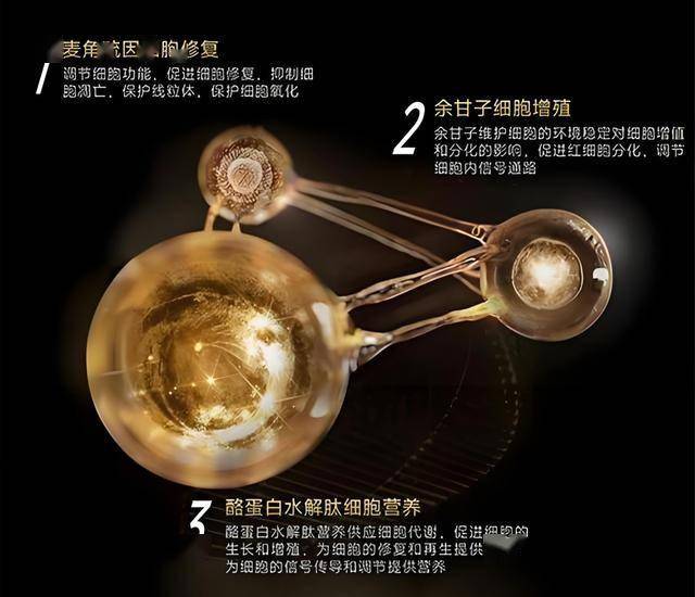 AVA爱华外汇开户南平顺邵高速公路第一项目经理部通过初步交工验收